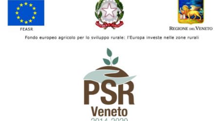 Banner_PSR_beneficiari